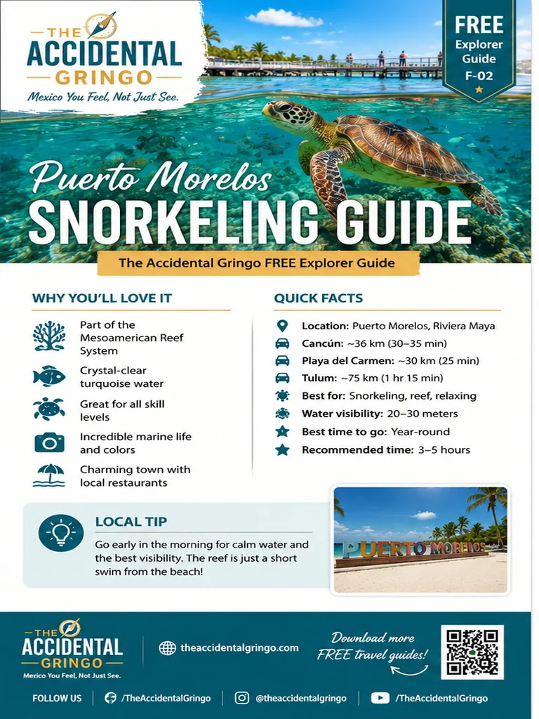 Puerto Morelos Snorkeling Guide - F-02 Edition
